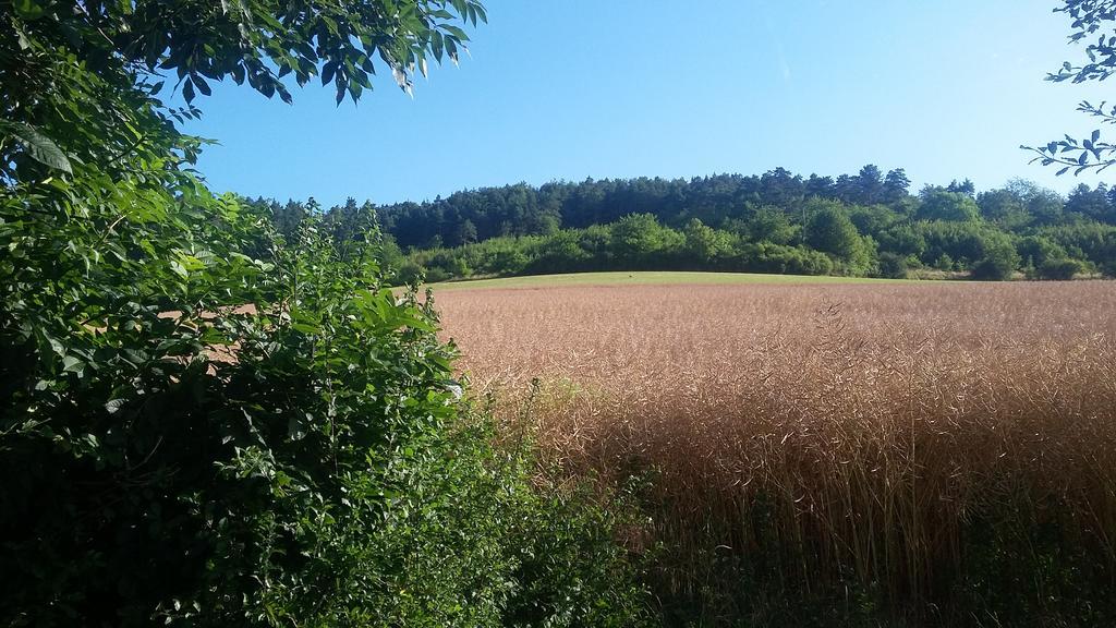 Landgasthof Zur Untermuehle Datterode Exterior foto